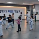 용인대 매교태권도장 이미지