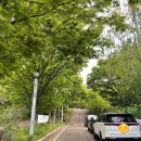 쌍봉산근린공원 축구장 이미지