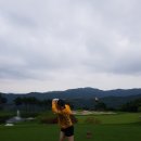 대명골프 이미지