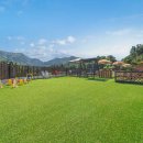 베일리애견풀빌라펜션 이미지