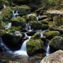 덕풍계곡 화장실 이미지