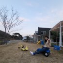 도화지오토캠핑장 이미지