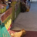 화개파크 이미지