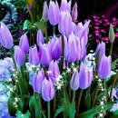 행복한하루 이미지