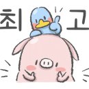 워시존 실내세차장 이미지