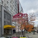 향기로운 염원 이미지