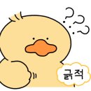 쭈아리 네이버블로그