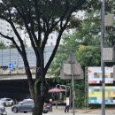 홈플러스 건너 | [왓츠인마이블로그] 5주차 구미 홈플러스 쿠우쿠우 다녀온 후기