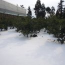 해오름농원 이미지