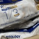 제주줄넘기클럽영광체육관 | [토박깜주의 턱걸이] 매일 풀업 연습 50일차 👉🏽 풀업 1개 성공!