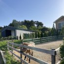 팀버선산점 | 경북 상주 가볼만한곳 동물까페 - 파머스룸 / 커피팀버 상주풀마운틴 feat. 조랑말, 염소, 알파카