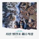 벌천포민박 | 서산 벌천포해수욕장 방문 : 숙소(펜션), 물때, 캠핑장, 주차장, 해루질