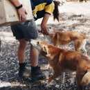 메종동물병원 이미지