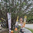 문경수예리오토캠핑장 이미지