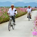 관기초등학교 이미지
