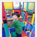 점폴린파크 Daum카페