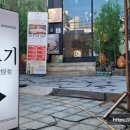 금고기마포