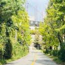 한양파인컨트리클럽 골프연습장 | 한양파인CC 첫 방문기(feat. 홀별 난이도·거리·공략 팁까지)