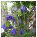 채기농장 이미지