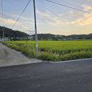 솔라공인중개사사무소 이미지