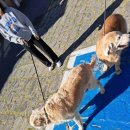 병암동행정복지센터 이미지