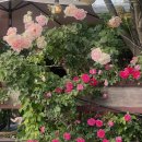 상설시장1길 이미지