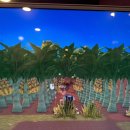 효성PC방 | 16주 연속 블챌 도전에 실패해서 좌절한 나애 2025년 3월 일상 இ௰இ 유돌이 울지말어..!