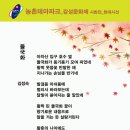 제27회 용인 농촌테마파크 가을국화 감성 문화제 축제 시화전 김정숙 송연화 양회주 여계화 윤광식 이미지