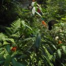 초등영어지도사(자격증) 이미지