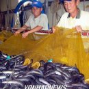 천보수산 이미지