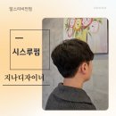 시스루테크 | 남자 시스루펌 후기 평택 미용실 지나디자이너