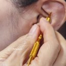 귀컨디션지도사 2급 이미지