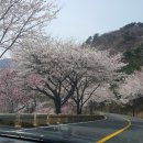 함목스파펜션 | 외도펜션 그림같은 풍경을 지닌 스파아라몽