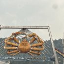 강구농업협동조합남정지점 이미지