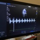 덕수농장 | [29-30주] 반짝 빛났다 사라진 임신 황금기, 안양 임산부 교실 체험, 제주도 태교여행 겸 신혼여행...