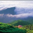 공설운동장 1주차장 화장실 이미지