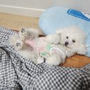 에그2000시흥은계점