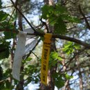 깃대봉79세벌지산149고로봉152깃대봉141선망제봉222선망제봉145망우리산142반지미산137도장산148/강원양양 이미지