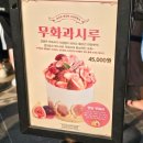 오후 | 성심당 케익부띠끄 본점 평일 오후 방문 후기 무화과 시루 출시