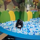 판암도서관 이미지