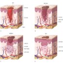 본소마메드짐운정점 이미지