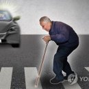 노인복지관 횡단보도 이미지