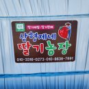 삼형제네