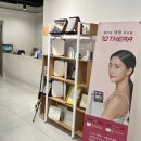 안에;봄