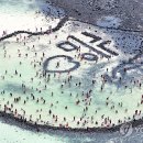 제주인(제주in) 이미지