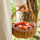 정말농장 이미지