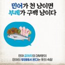 대전 강경옥 맛집｜제철 민어회와 부레, 복사시미, 여름 보양식 초복음식 제대로 즐긴 후기