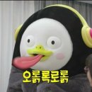 무이유