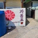 자봉도 Daum카페