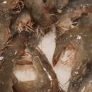 산호대로29길 이미지